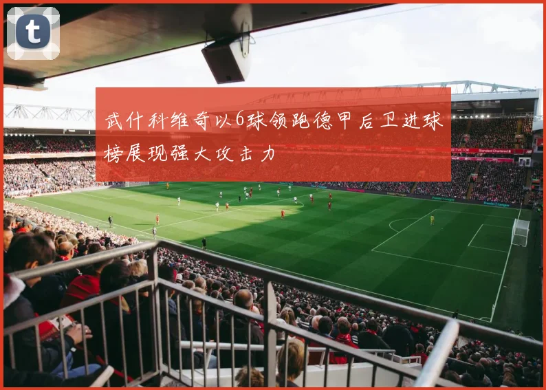 武什科维奇以6球领跑德甲后卫进球榜展现强大攻击力