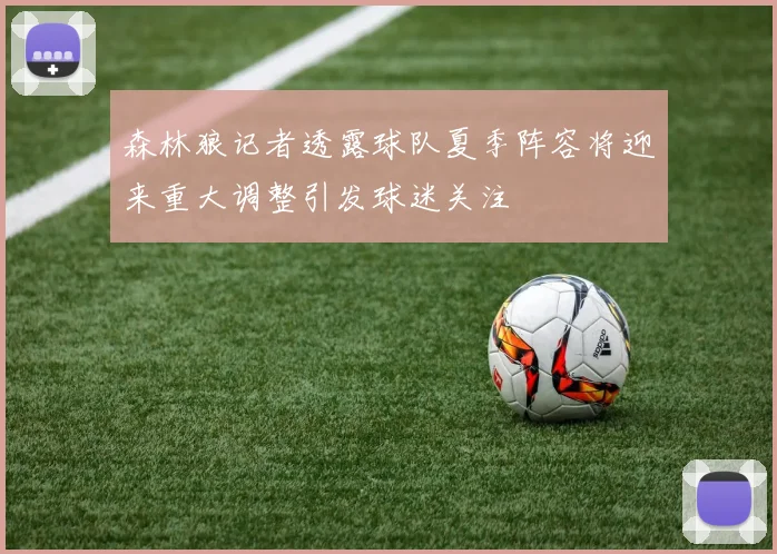 森林狼记者透露球队夏季阵容将迎来重大调整引发球迷关注