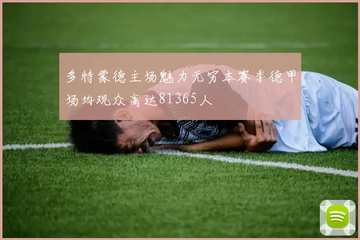 多特蒙德主场魅力无穷本赛季德甲场均观众高达81365人